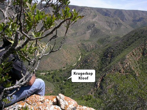 Baviaanskloof Nature Reserve Bushcamp