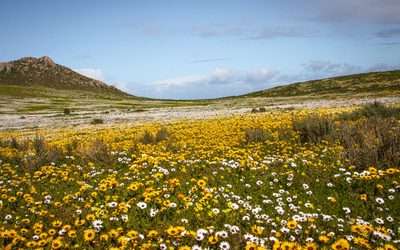 Best National Parks In South Africa
