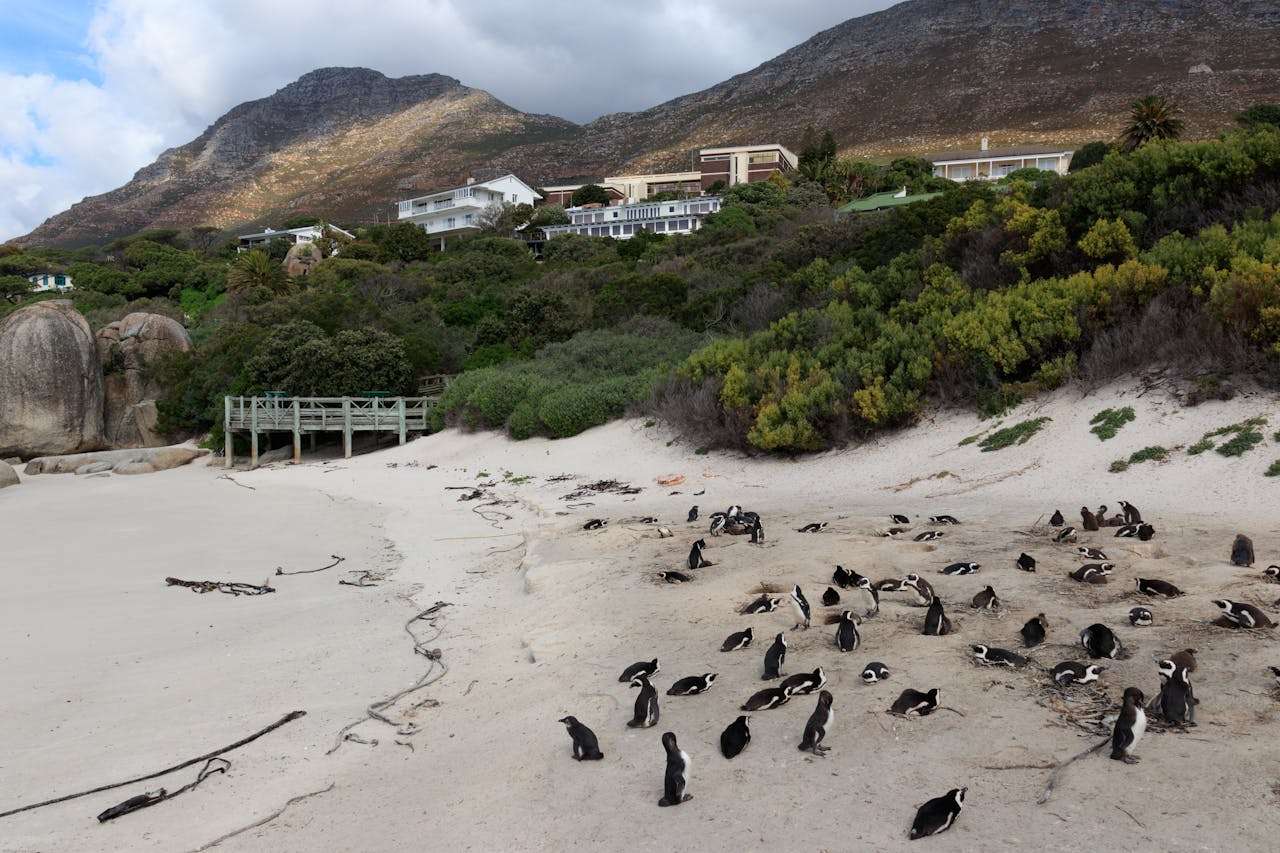Historic Harbour Town South Africa - Simon's Town
