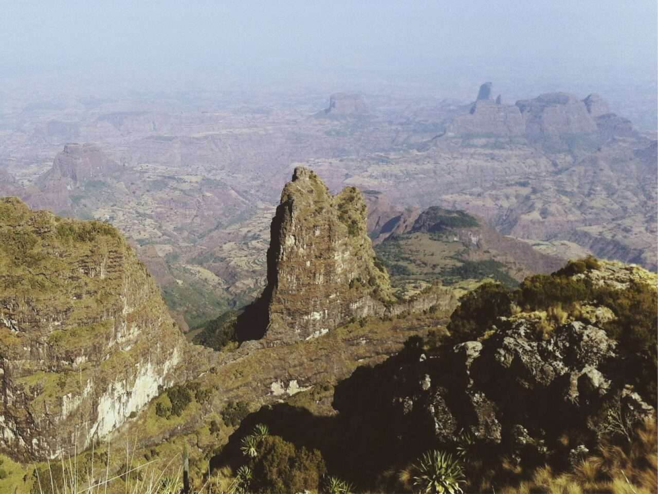 Find The Primates of Simien Mountains · Traveljack