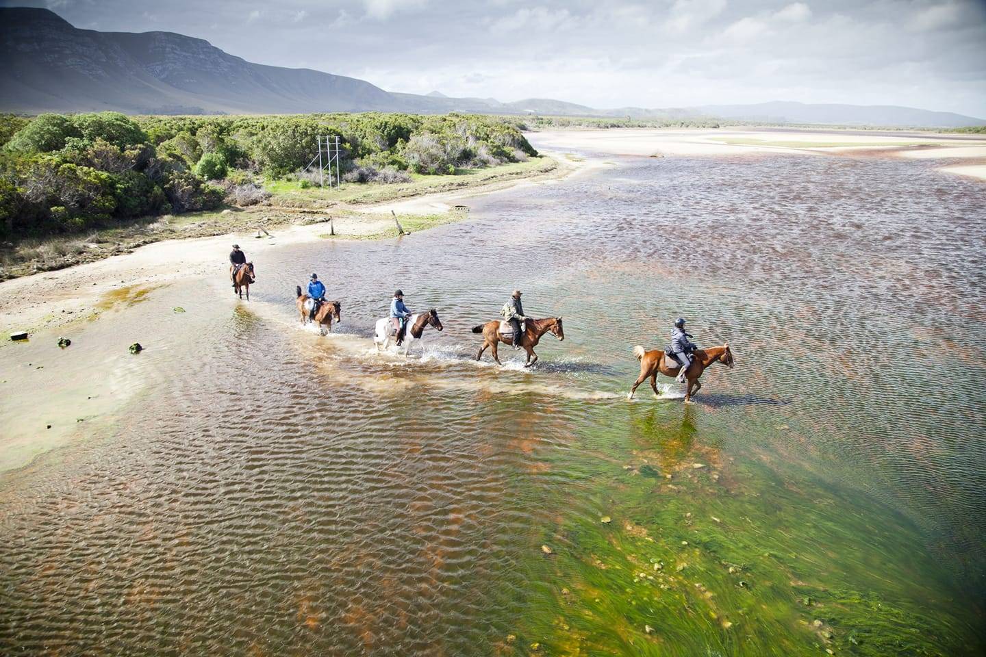 Horse Riding Exploring Explore Cape Town on horseback · Traveljack